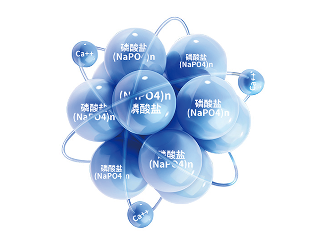 尊龙Z6 - 尊龙网址在线登陆官网